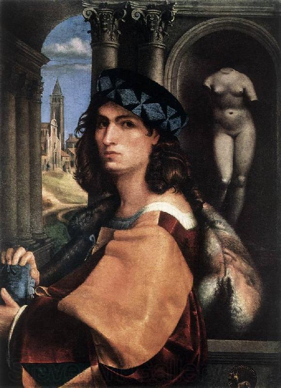 CAPRIOLO, Domenico Portrait of a Man df Spain oil painting art